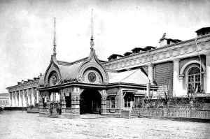 Владимир Авдеев - Русская расовая теория до 1917 года. Том 1