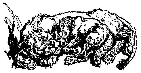 Семен Каратов - Быстроногий Джар. Повесть из эпохи каменного века