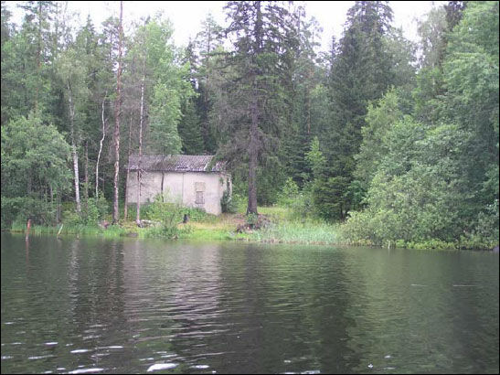 Андрей Кашкаров - Справочник настоящего мужчины