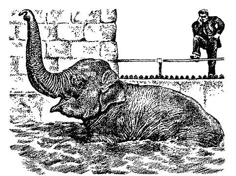 Бернгард Гржимек - Наши братья меньшие