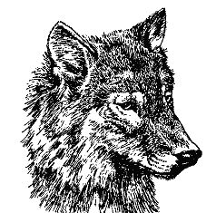 Бернгард Гржимек - Наши братья меньшие