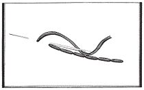 Рукоделие для девочек