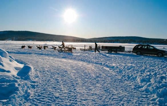 Константин Стогний - Сокровища майя и конец света
