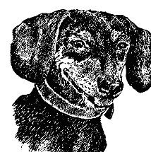 Бернгард Гржимек - Наши братья меньшие