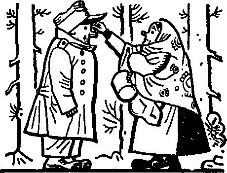 Йозеф Лада - Картинки похождений бравого солдата Швейка