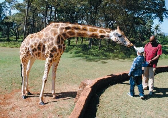 Константин Стогний - Сокровища майя и конец света