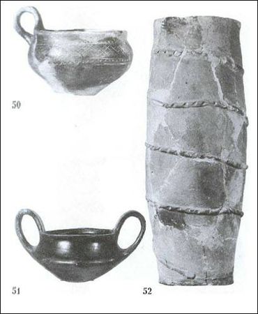 Думитру Берчу - Даки. Древний народ Карпат и Дуная