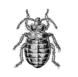 Бернгард Гржимек - Наши братья меньшие