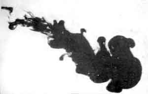 Игорь Акимушкин - Приматы моря