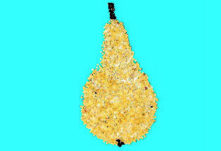 Дарья Колдина - Аппликация с детьми 3-4 лет. Конспекты занятий