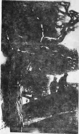 Григорий Карев - Твой сын, Одесса