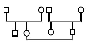 Сборник статей, Анна Варга - Системная психотерапия супружеских пар