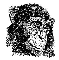 Бернгард Гржимек - Наши братья меньшие