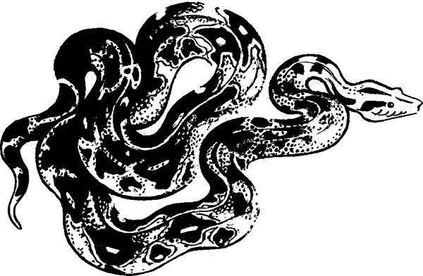 Борис Житков - Что бывало (сборник)