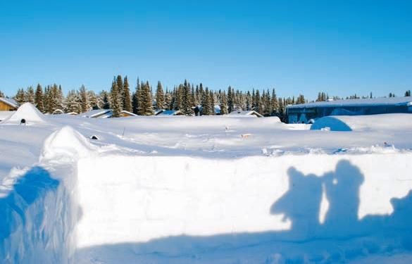 Константин Стогний - Сокровища майя и конец света