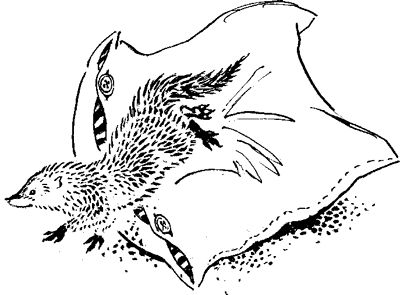 Борис Житков - Что бывало (сборник)