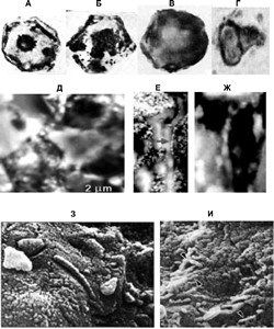 Марк Мосевицкий - Распространенность жизни и уникальность разума?