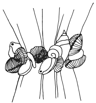 Светлана Ращупкина - Поделки из морских камешков и ракушек