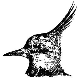 Бернгард Гржимек - Наши братья меньшие