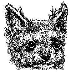 Бернгард Гржимек - Наши братья меньшие