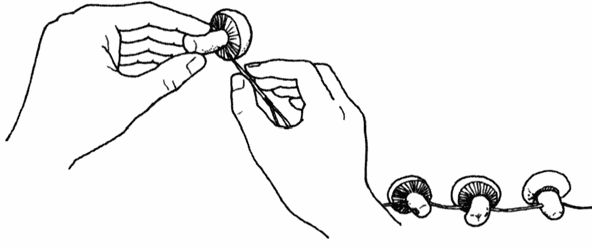 Андрей Кашкаров - Справочник настоящего мужчины
