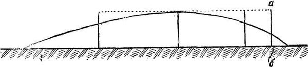 История винтовки