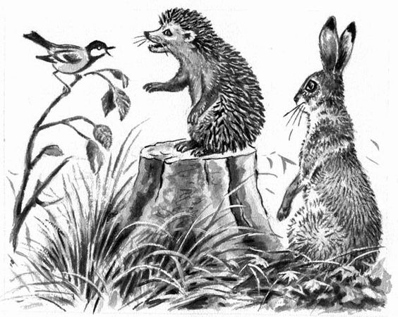 Георгий Скребицкий - Длиннохвостые разбойники (сборник)