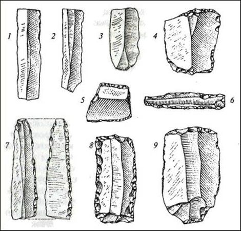 Думитру Берчу - Даки. Древний народ Карпат и Дуная