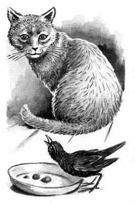 Георгий Скребицкий - Длиннохвостые разбойники (сборник)