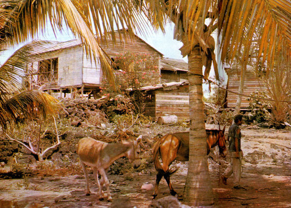 Хайнц Зильман - В стране драконов и сказочных птиц