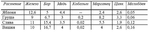 Годовой цикл работ в саду и огороде