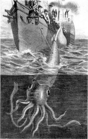 Игорь Акимушкин - Приматы моря