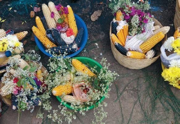 Константин Стогний - Сокровища майя и конец света