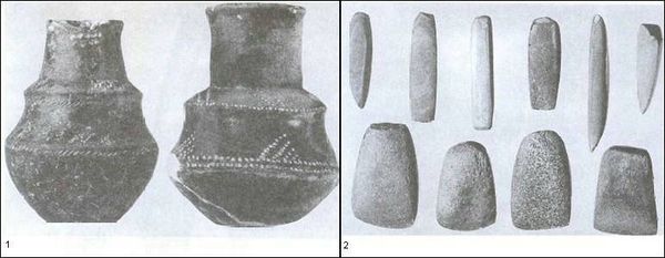 Думитру Берчу - Даки. Древний народ Карпат и Дуная