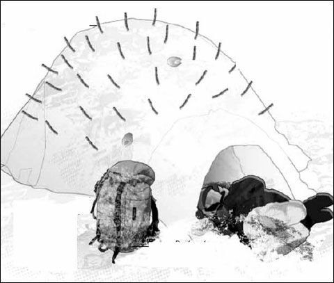 Андрей Кашкаров - Справочник настоящего мужчины