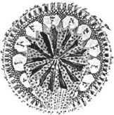 Юрий Винничук - Танго смерти