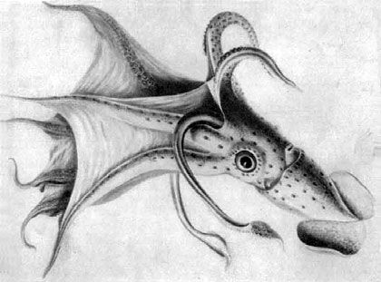 Игорь Акимушкин - Приматы моря