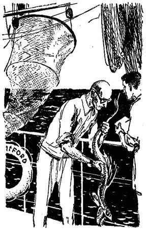 Артур Конан Дойль - Маракотова бездна. Повесть