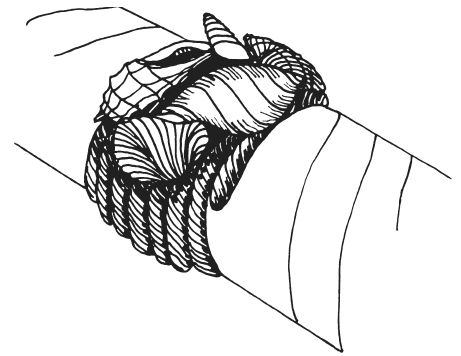 Светлана Ращупкина - Поделки из морских камешков и ракушек