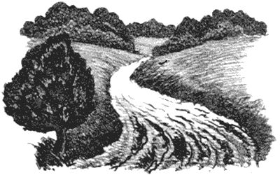 Василий Белов - Бухтины вологодские завиральные