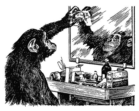 Бернгард Гржимек - Наши братья меньшие