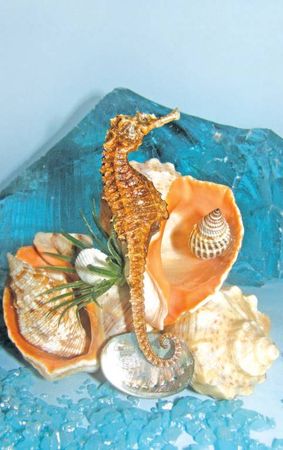 Светлана Ращупкина - Поделки из морских камешков и ракушек