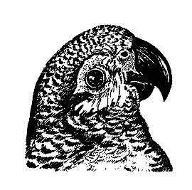 Бернгард Гржимек - Наши братья меньшие