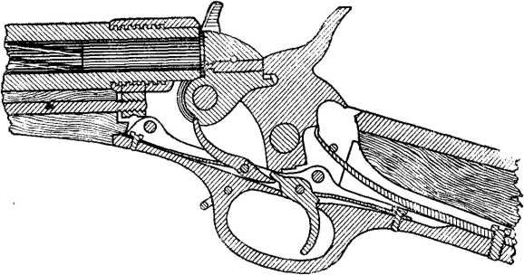 Владимир Федоров - История винтовки