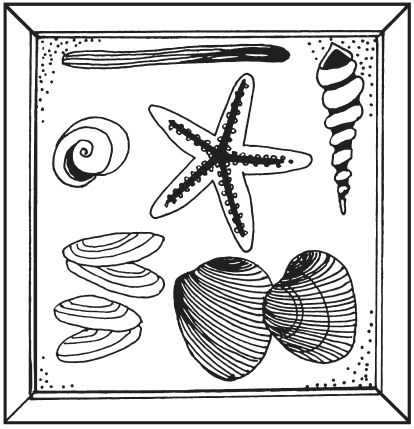 Светлана Ращупкина - Поделки из морских камешков и ракушек