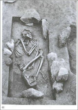 Думитру Берчу - Даки. Древний народ Карпат и Дуная