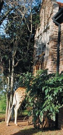 Константин Стогний - Сокровища майя и конец света