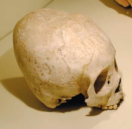 Константин Стогний - Сокровища майя и конец света