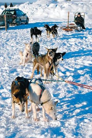 Константин Стогний - Сокровища майя и конец света
