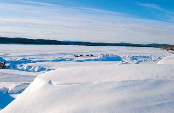 Константин Стогний - Сокровища майя и конец света